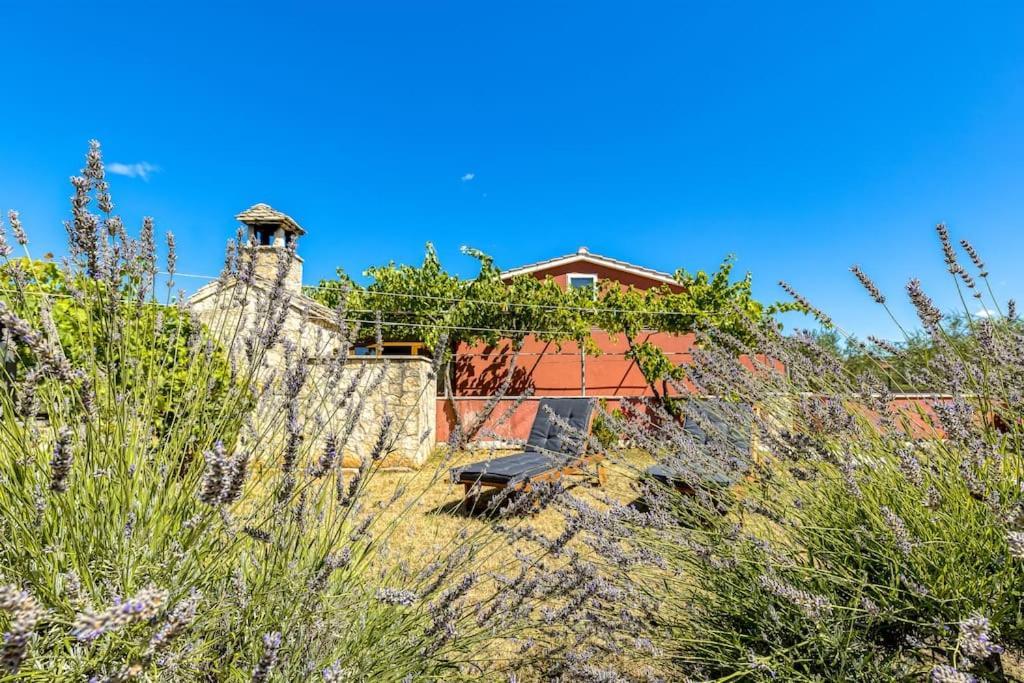 Casa Polari *